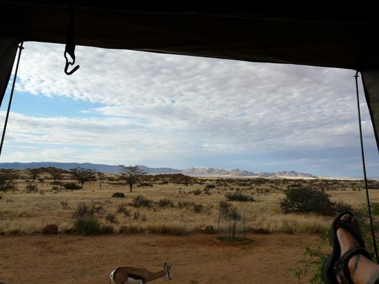 Ausblick aus unserem Zelt am fruehen Morgen