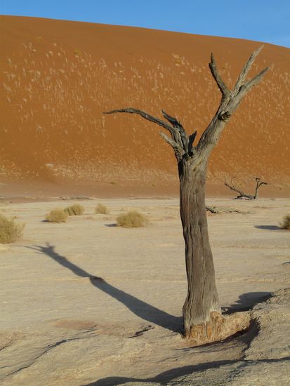 Deadvlei