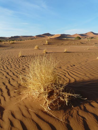 Soussusvlei