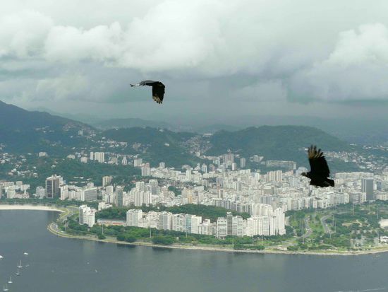 Blick vom Zuckerhut auf Rio