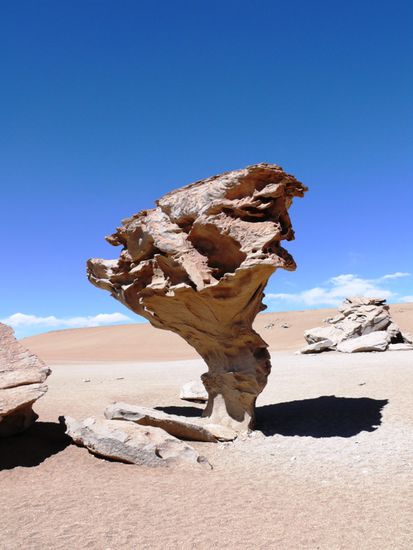 Arbol de Piedra (Steinbaum)