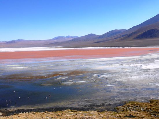 Laguna Colorada