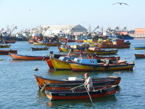 Fischerboote im Hafen
