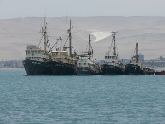 Fischerboote im Hafen