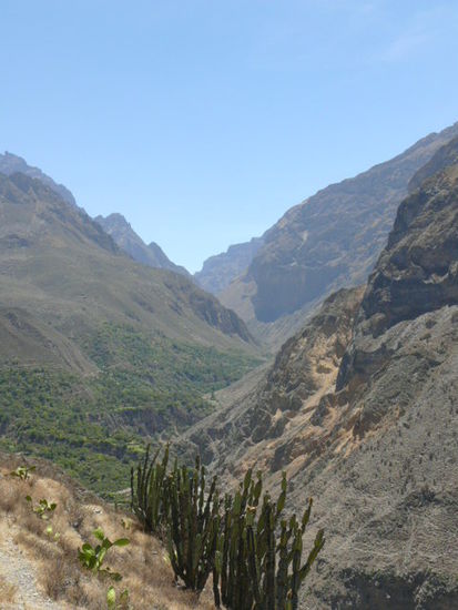 Blick in den Canyon