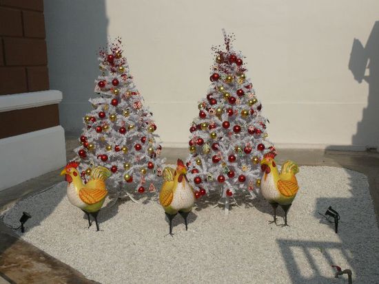 die beruehmten Weihnachtshuehner 