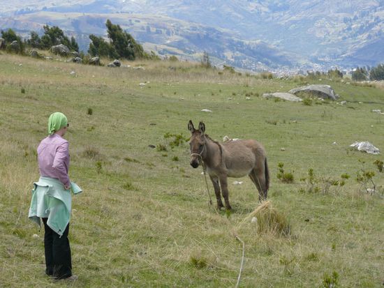 Die Eselfluesterin...