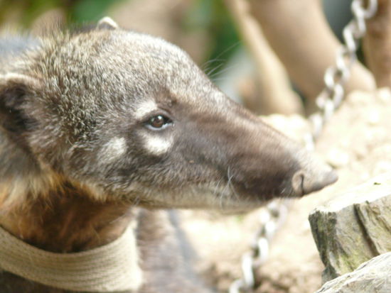 Juan Carlos, unser neuer Freund