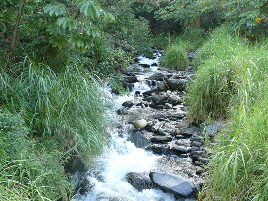 da haetten wir uns gerne reingelegt