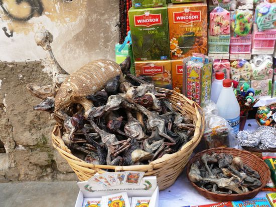 Jemand was zum Knappern? (Hexenmarkt)
Die Lamababies sollen Glueck bringen und werden vor allem beim Hausbau verwendet, indem sie einfach eingemauert werden.