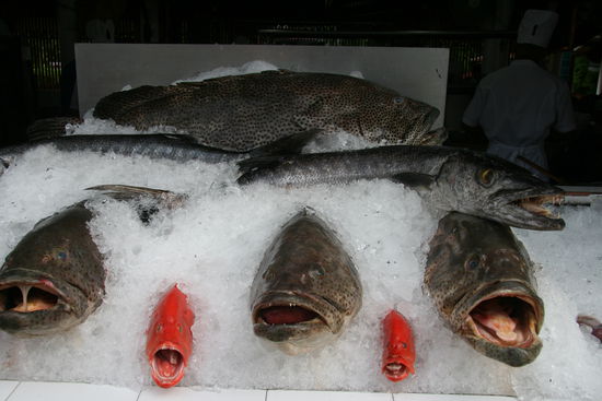 hmmm fisch! genau das richtige für uns...