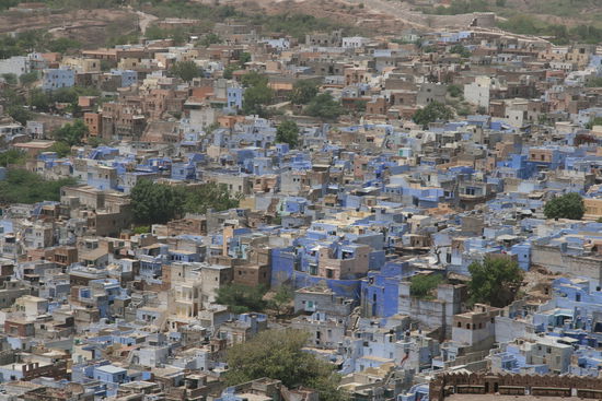Joddhpur die blaue Stadt