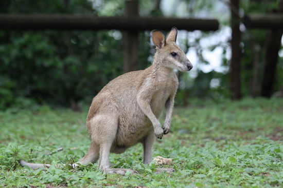 oh nein, nicht schon wieder eine Fotosession