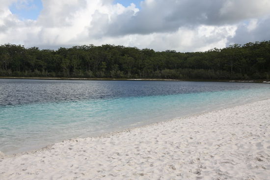 am Lake McKenzie auf Fraser Island