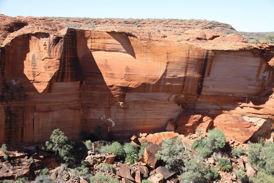 die Steilwand vom Kings Canyon