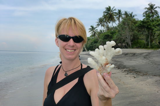 hier am Strand findet man riesige Korallen in allen Farben