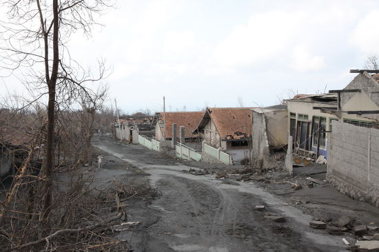 unvorstellbar, wo einst früher grüner Dschungel war, ist heute alles nur noch kahl und grau!