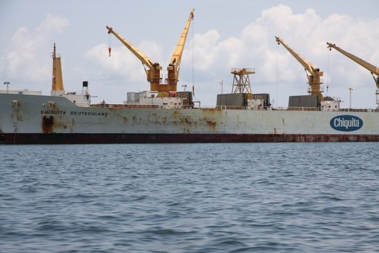 Bananen für Deutschland