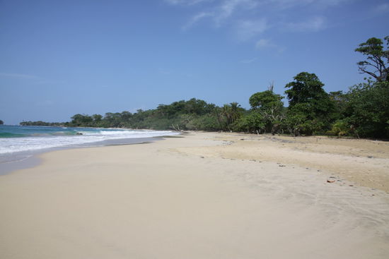 Red Frog Turtle Beach -fast ein Traumstrand-