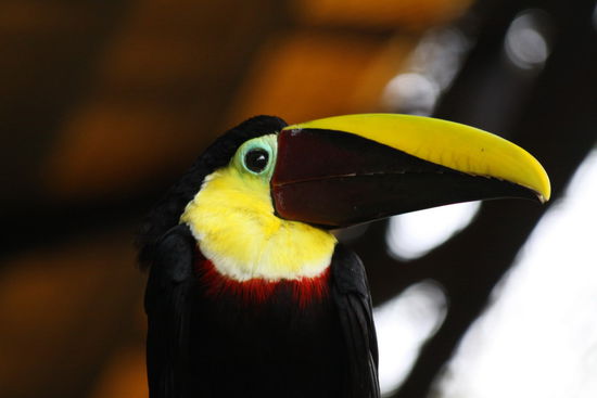 süß oder? ...der hat aber gebissen