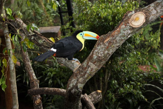 weil er so schön ist noch einen!