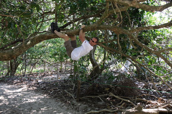 das kann ich bestätigen 