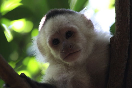 mein Top Model an diesem Tag