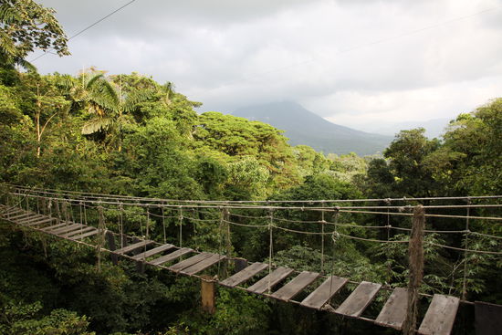 alte Hängebrücke mit tollem Blick auf den Dschungel
-nix für Weicheier- 
die neue Brücke war genau daneben