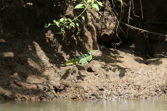 unterwegs vom Boot gesehen