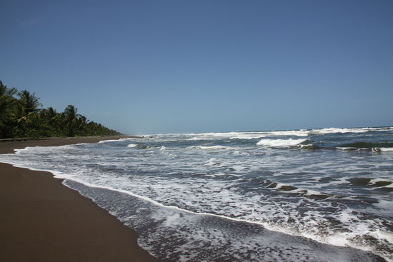 toller Strand im NP Tortuguero