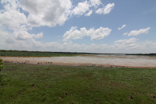 Mamukala Aussichtspoint