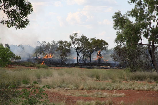 unterwegs haben wir noch ein Buschfeuer entdeckt