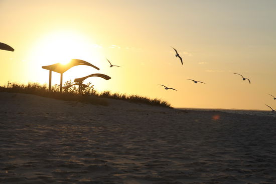 Sunset am Beach von Coral Bay