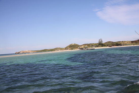 auf nach Pinguin Island 