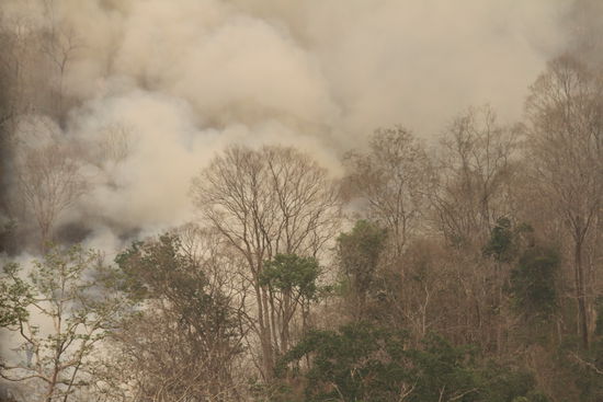 überall nur Feuer und dicker Qualm, man sieht teilweise nur ein paar Meter weit