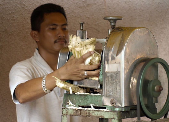 hier wird bambussaft gepresst