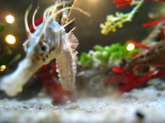 und jetzt bitte mal so stehen bleiben