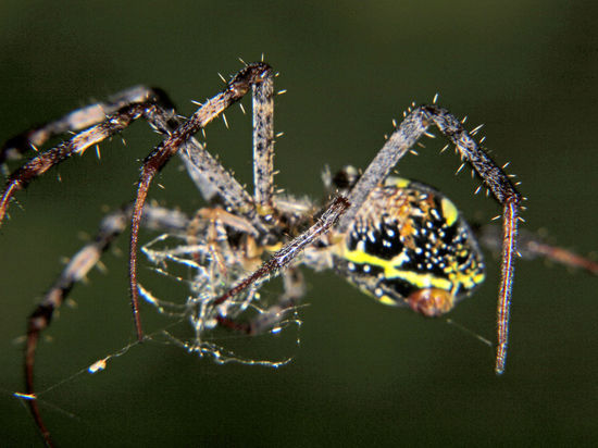 auch draußen gibt es wieder jede menge gruseliges