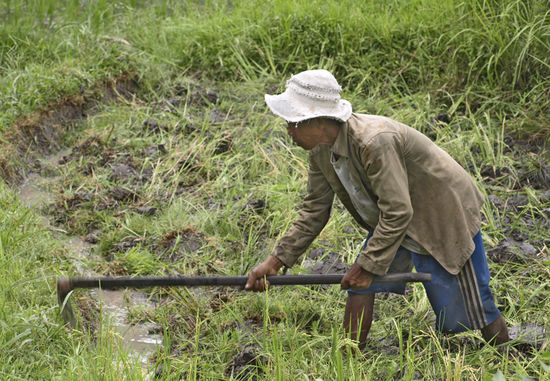 ... wo taeglich schwerstarbeit geleistet wird!