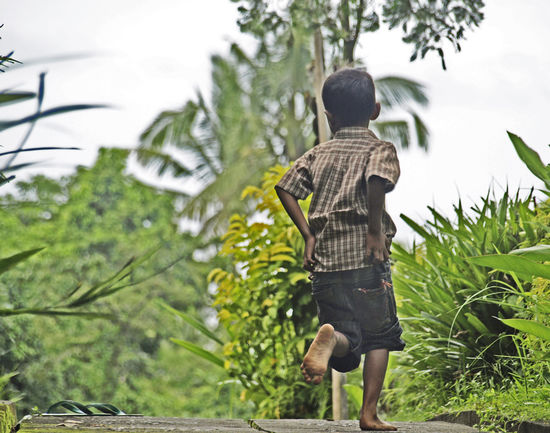 anschließend geht es zu reisfeldern