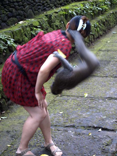 die manchmal gefaehrlich erschienen...