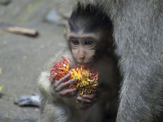 ... und dann auch wieder nicht 