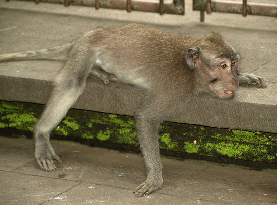 und nach diesen besuchermengen, braucht man nix mehr 