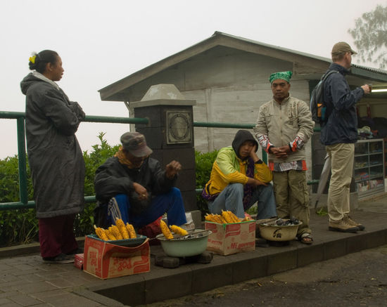 die maiskolben waren nicht gerade der verkaufsschlager, leider...