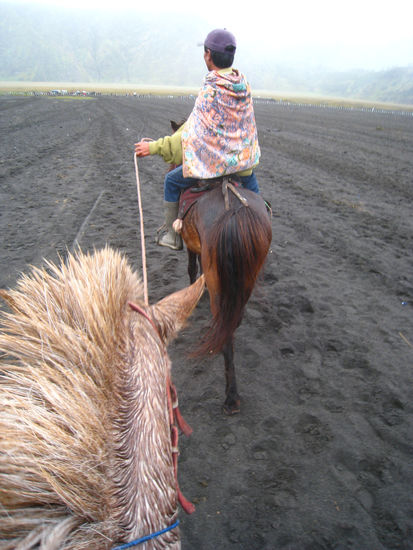 schon ganz nass vom regen