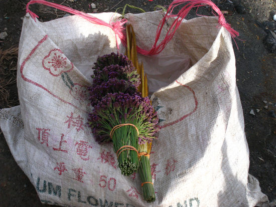 trockenstraeuße fuer das innere des vulkans