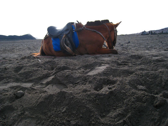 fuer alle anstrengend!