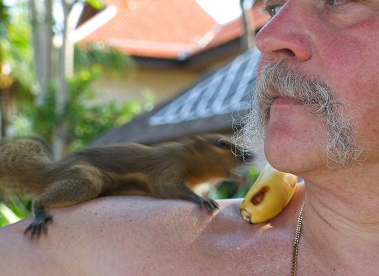 freche kleine hoernchen!