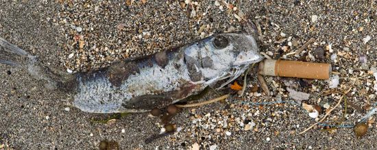 rauchen ist toedlich!