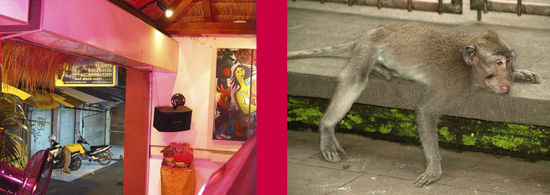 und darwin hat recht: man passt sich stets an die umgebung an 